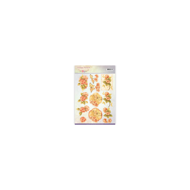  3D Jeanine`s Orange roser